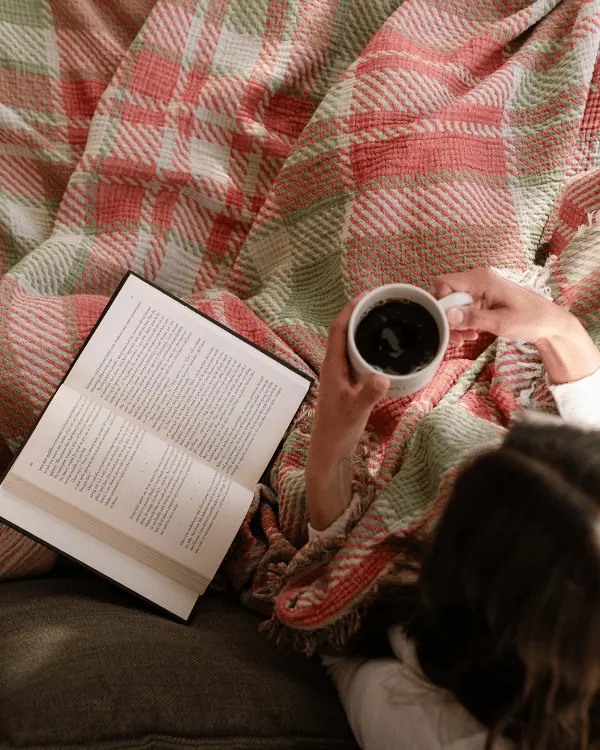 Christmas Plaid - PARTY BLANKET | Sand Cloud - Image 2