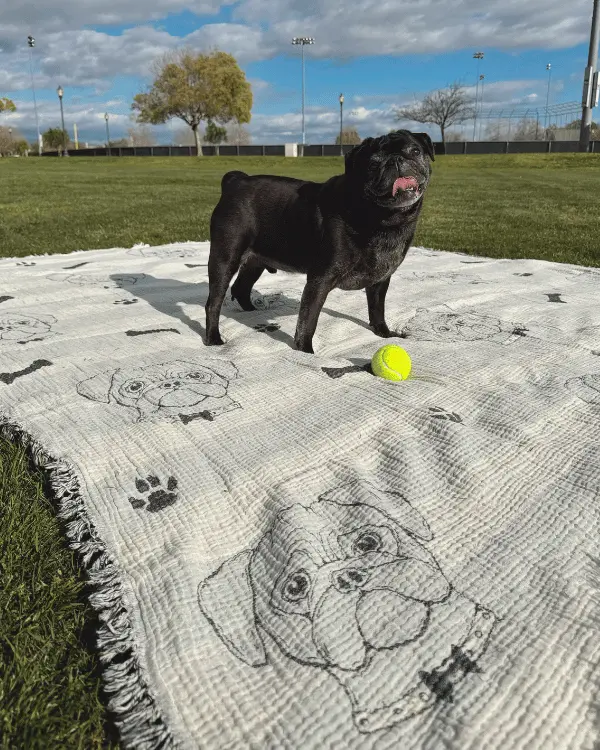 Alternative view of Pug - PARTY BLANKET | Sand Cloud