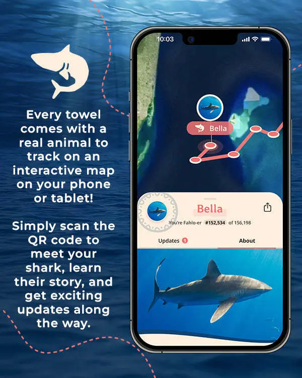 Alternative view of Voyage Shark - Large - Fahlo | Sand Cloud